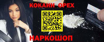 гидра Заводоуковск