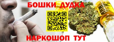 гидра Заводоуковск
