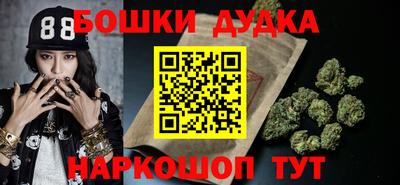 гидра Заводоуковск
