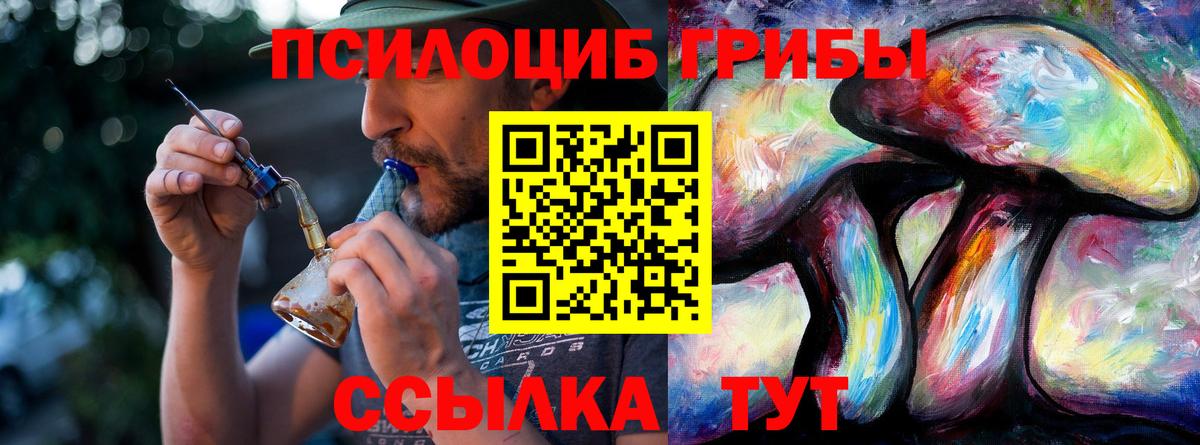 Минеральные Воды  Галлюциногенные грибы Psilocybe  Вход с VPN  Галлюциногенные грибы Psilocybe 